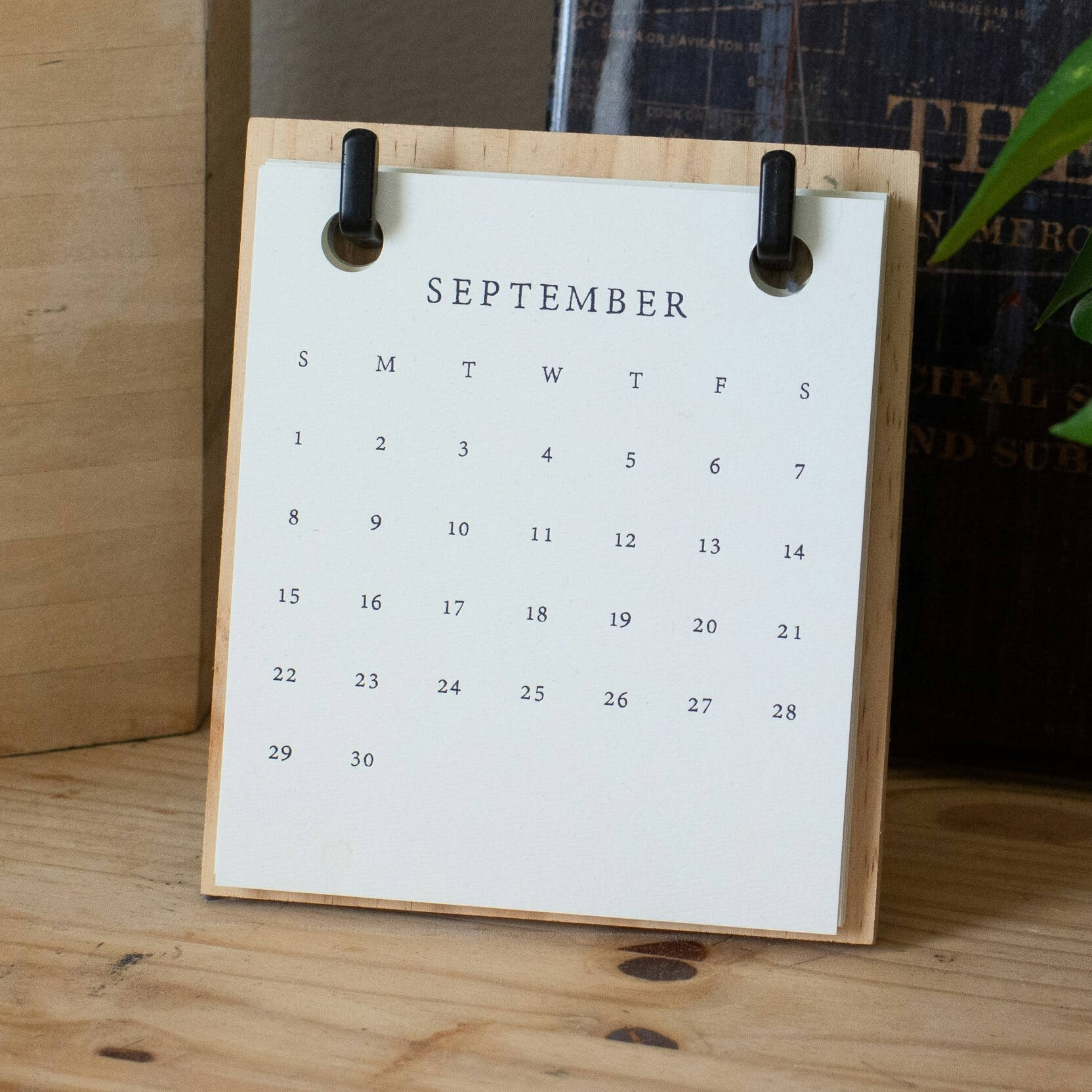 Desk calendar with a plant adjacent